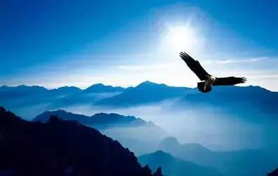 【江達(dá)課堂】管理一個團(tuán)隊，必有的鐵規(guī)